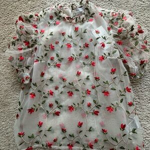 Endless Rose Sheer Top with Red and Green Embroidery